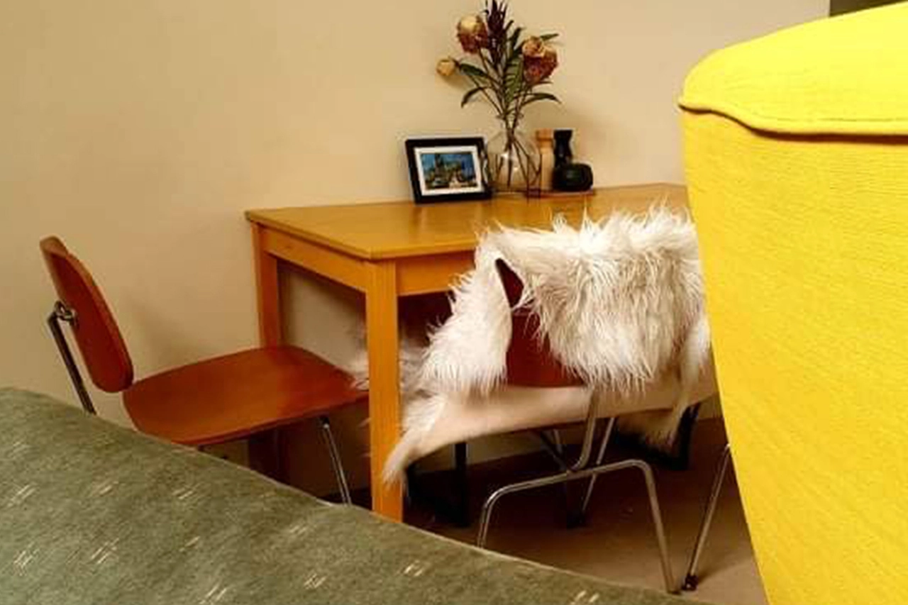 The House Project - Desk